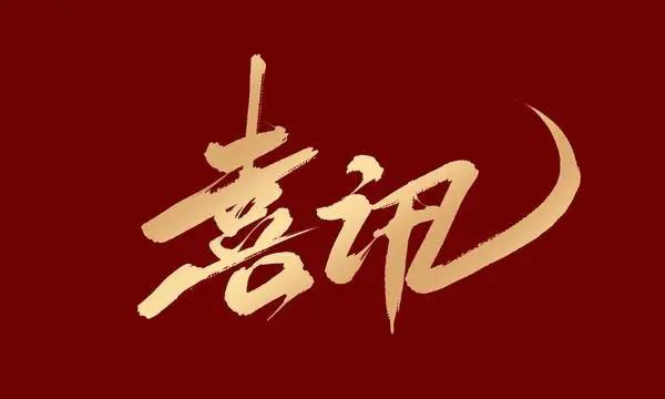 喜讯！市城投公司荣获2024年度国企改革先进集体荣誉称号
